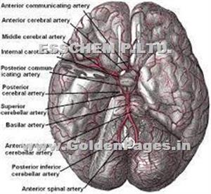 > </div>
<div class=